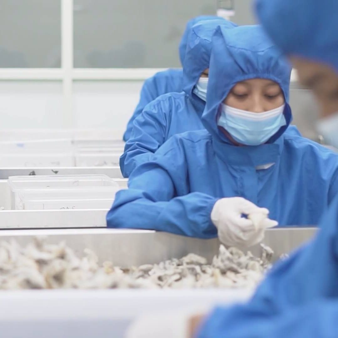 The Sorting of Bird's Nests