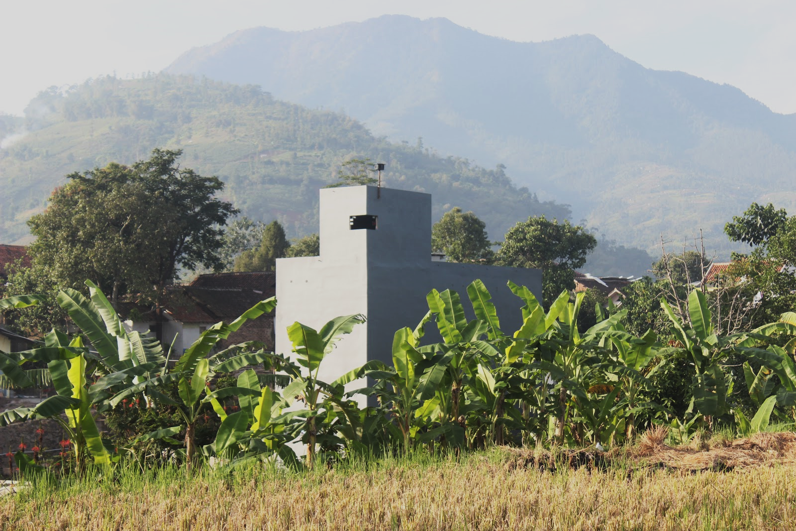 rumah burung walet di pegunungan