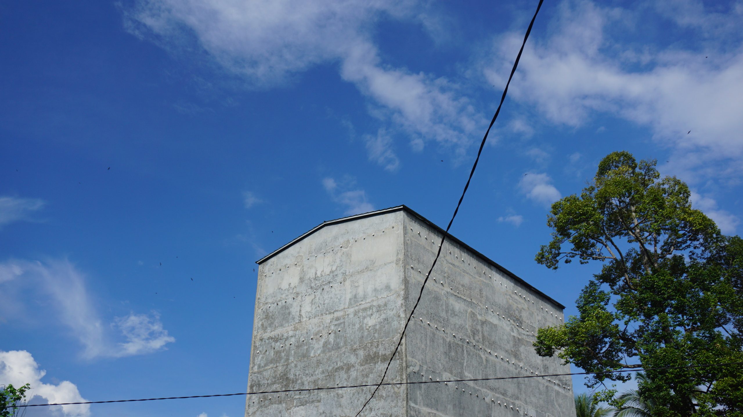 Tipe rumah burung walet