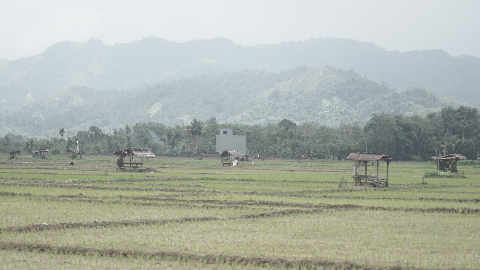 RBW area persawahan dengan ketinggian 10 meter